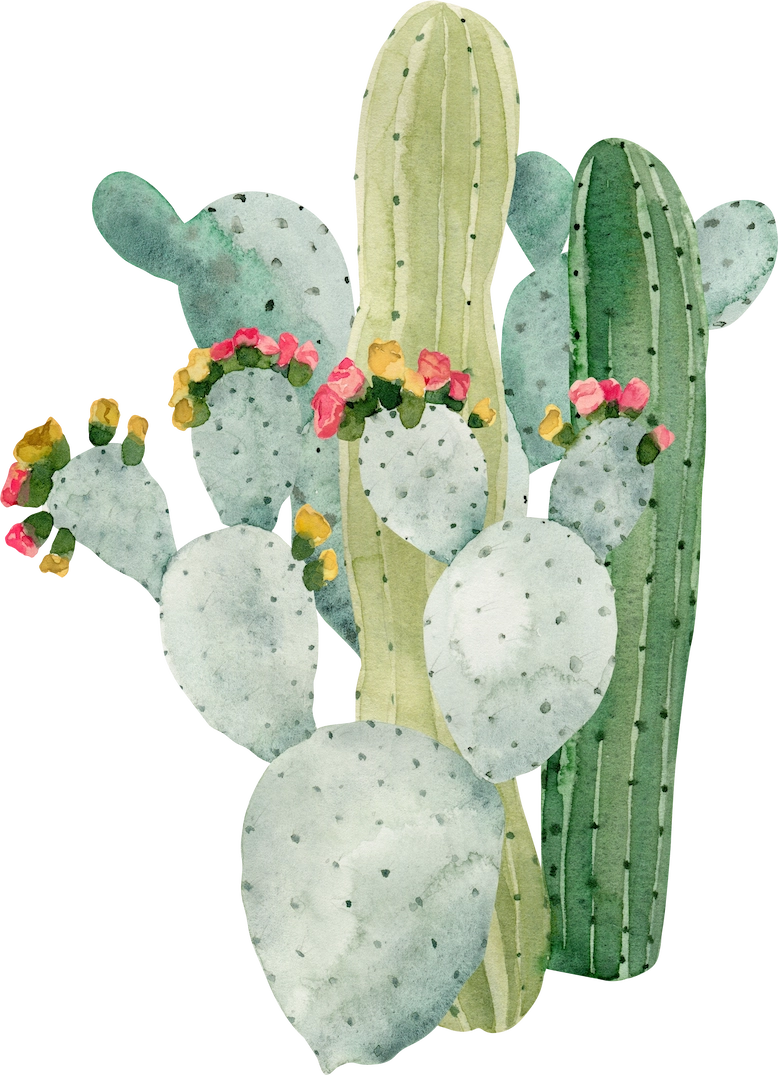 cactus2